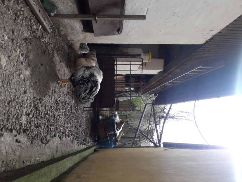  - 2 - MATCĂ I 2024 -