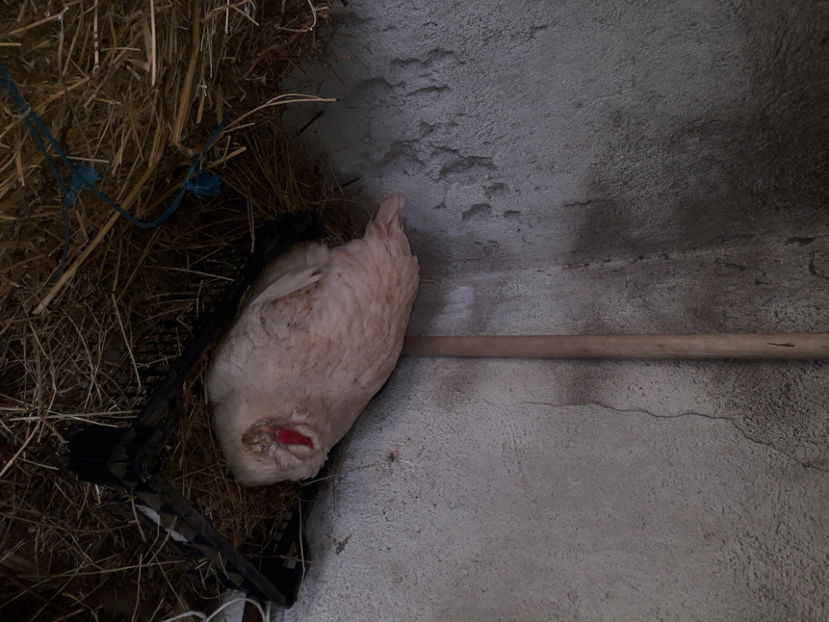 ‎luni, ‎1 ‎aprilie ‎2024, ‏‎16:34:56 - 2 - MATCĂ I 2024 -