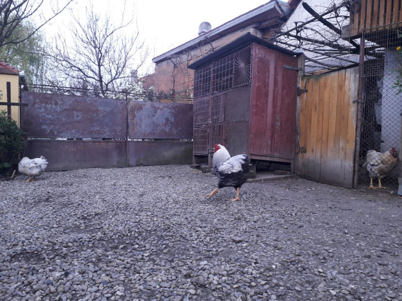  - 2 - MATCĂ I 2024 -