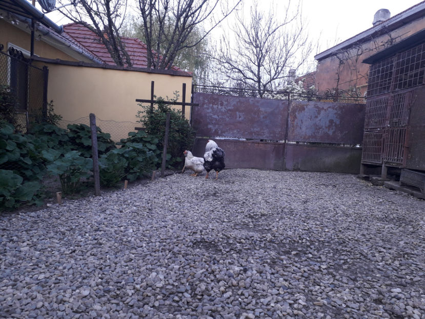  - 2 - MATCĂ I 2024 -