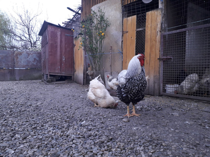  - 2 - MATCĂ I 2024 -