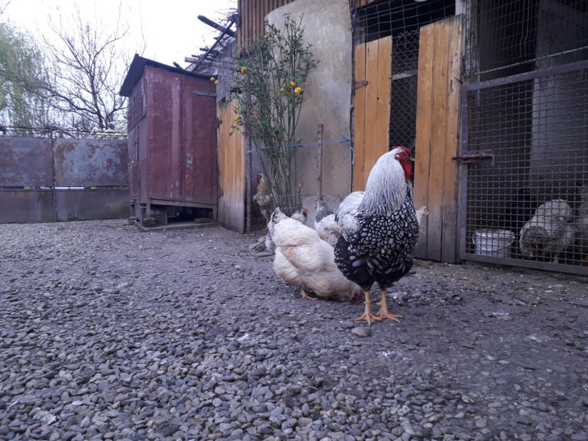  - 2 - MATCĂ I 2024 -