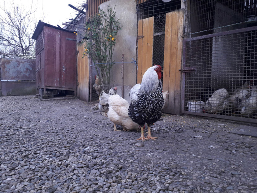  - 2 - MATCĂ I 2024 -