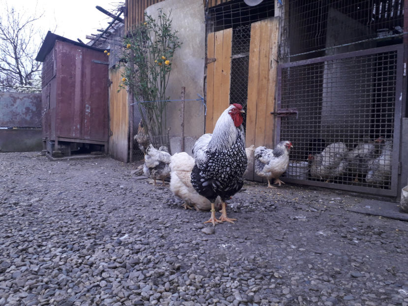  - 2 - MATCĂ I 2024 -