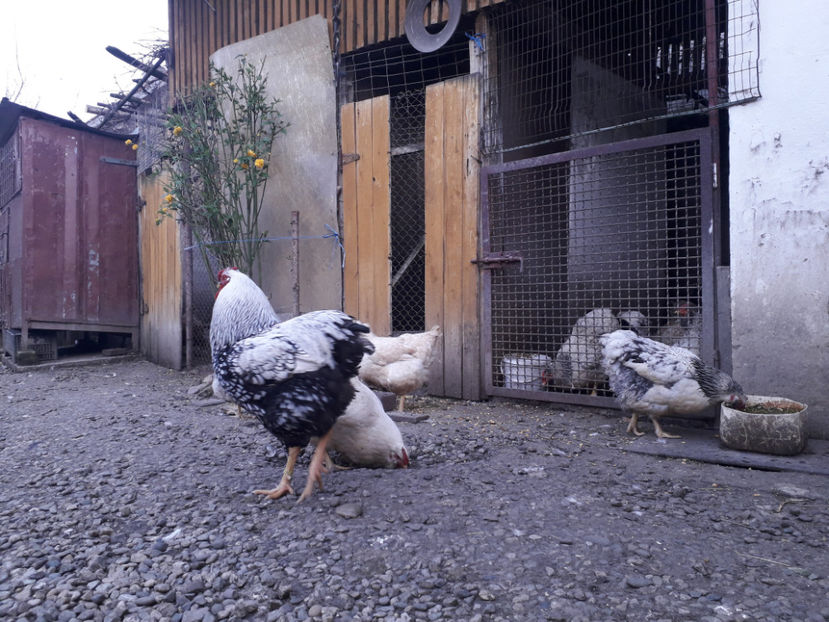  - 2 - MATCĂ I 2024 -