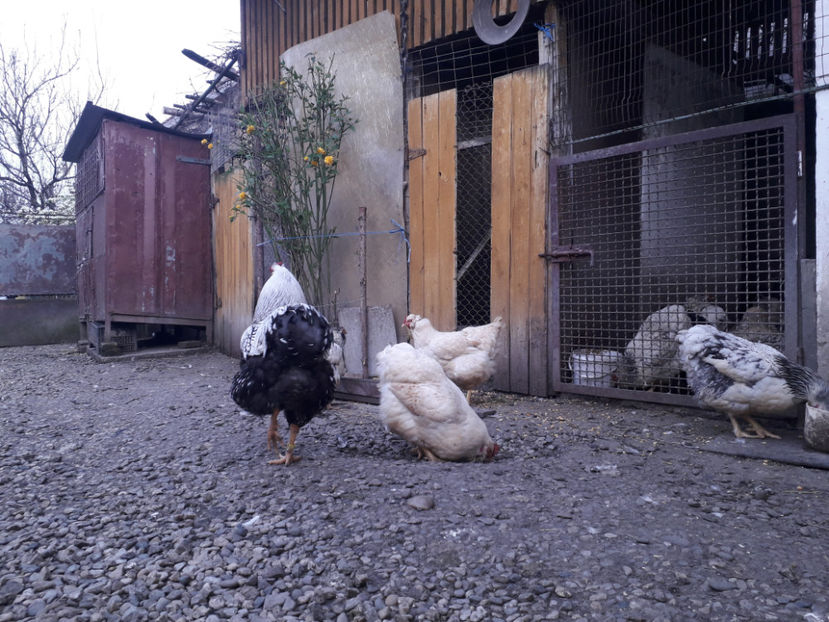  - 2 - MATCĂ I 2024 -