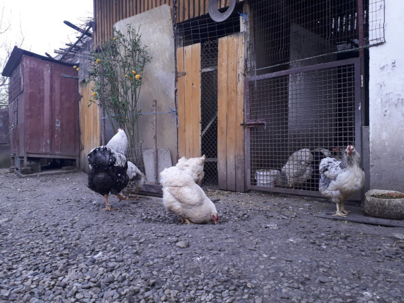  - 2 - MATCĂ I 2024 -