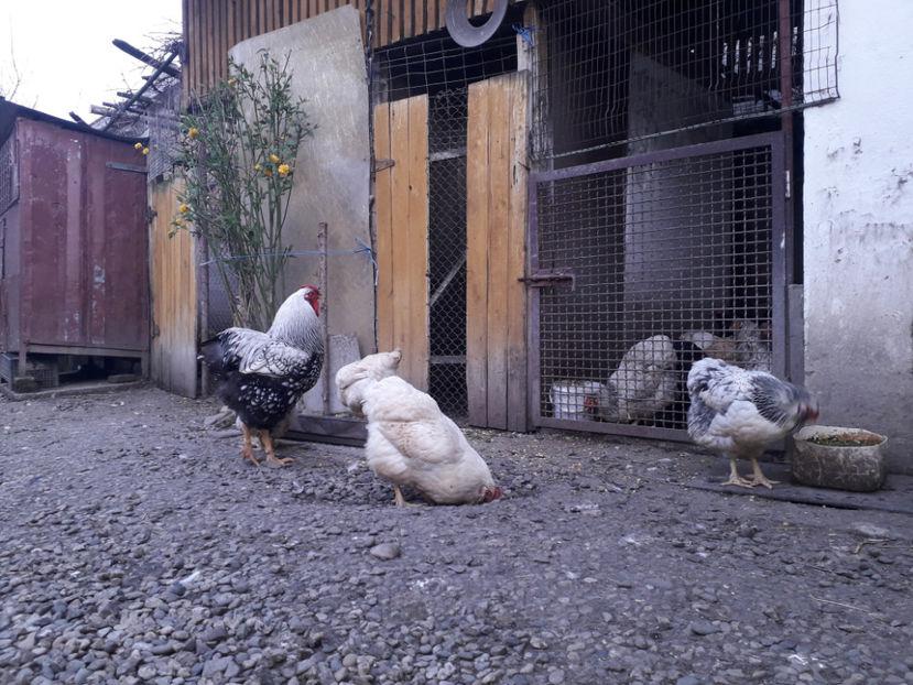  - 2 - MATCĂ I 2024 -