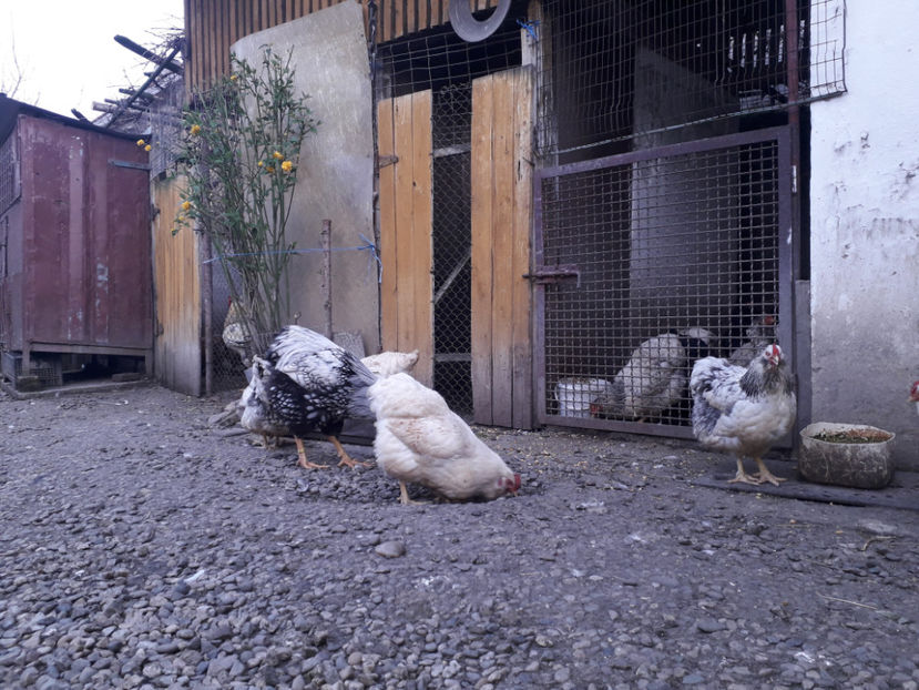  - 2 - MATCĂ I 2024 -