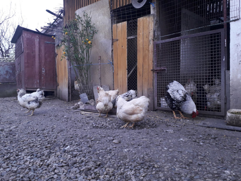  - 2 - MATCĂ I 2024 -