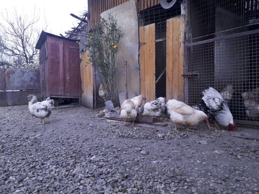  - 2 - MATCĂ I 2024 -