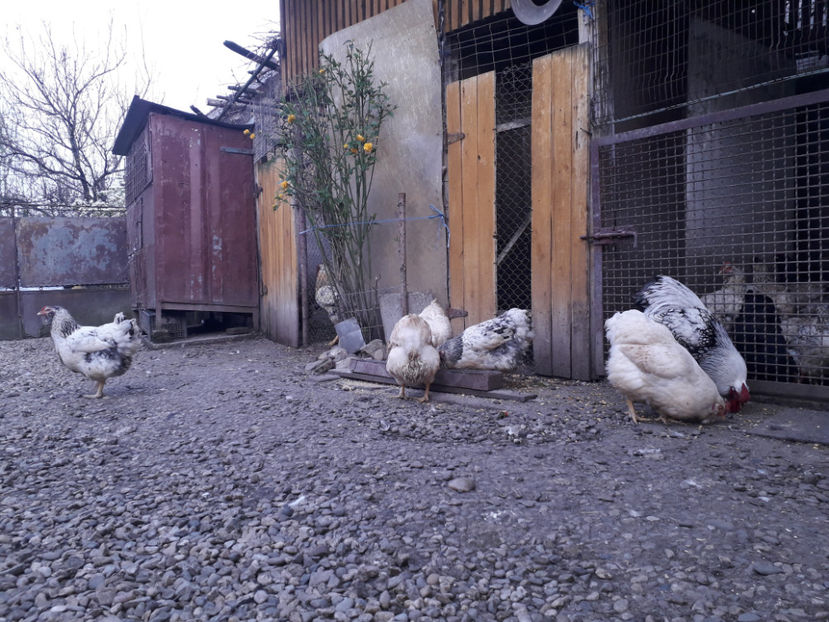  - 2 - MATCĂ I 2024 -