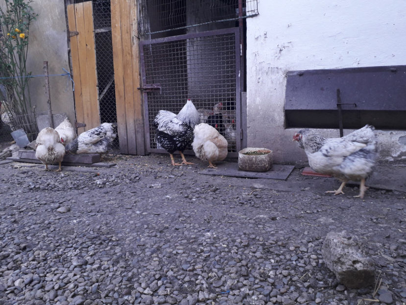  - 2 - MATCĂ I 2024 -