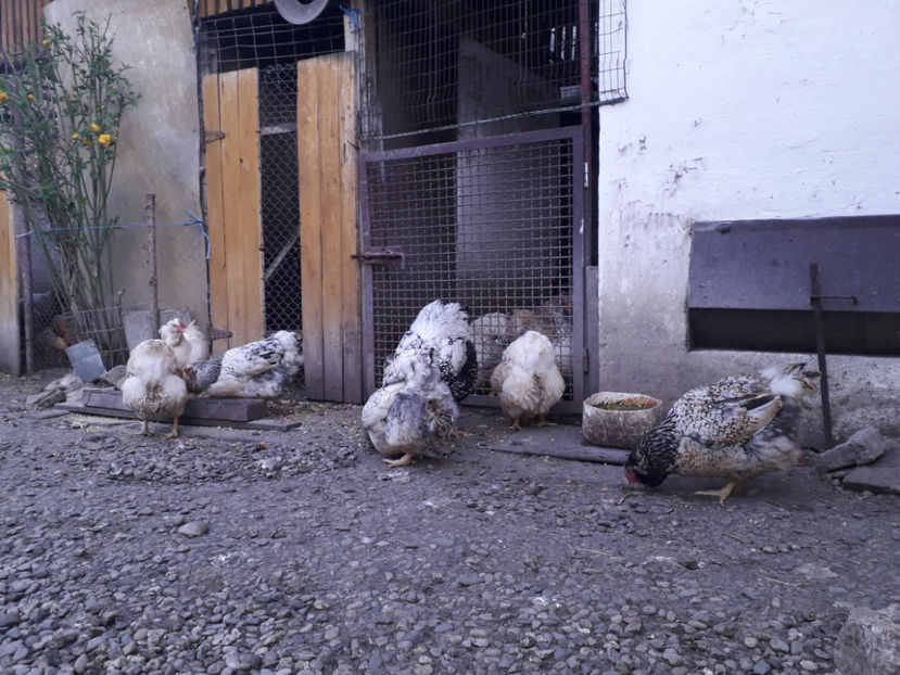  - 2 - MATCĂ I 2024 -