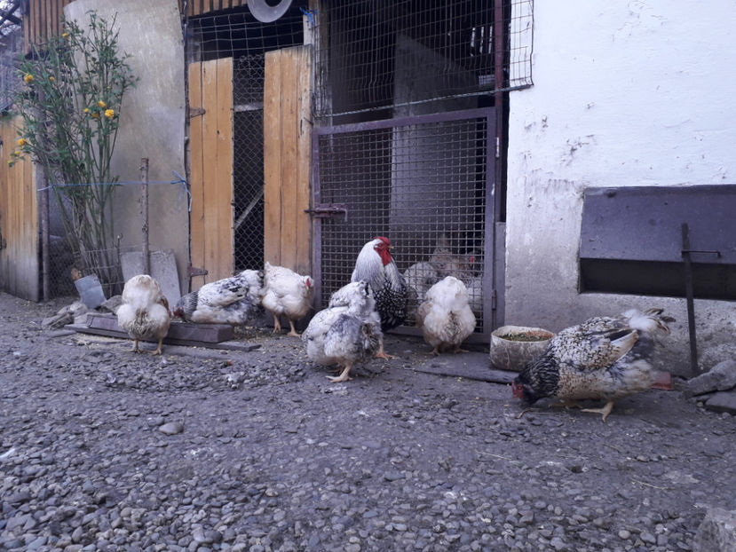  - 2 - MATCĂ I 2024 -