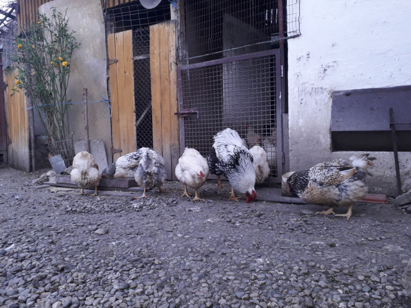  - 2 - MATCĂ I 2024 -