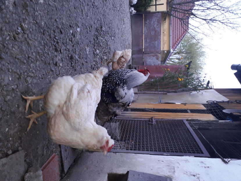  - 2 - MATCĂ I 2024 -