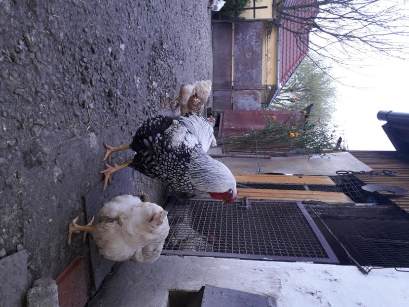  - 2 - MATCĂ I 2024 -