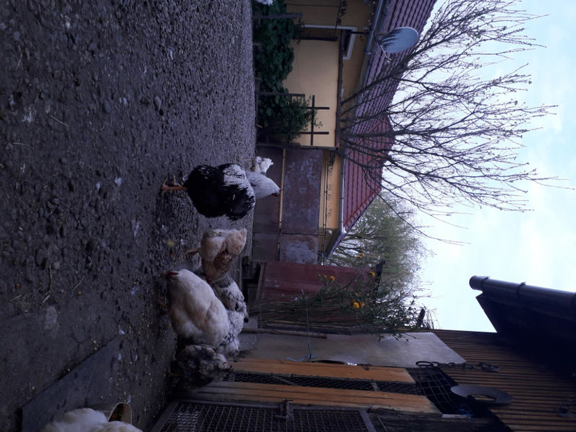  - 2 - MATCĂ I 2024 -