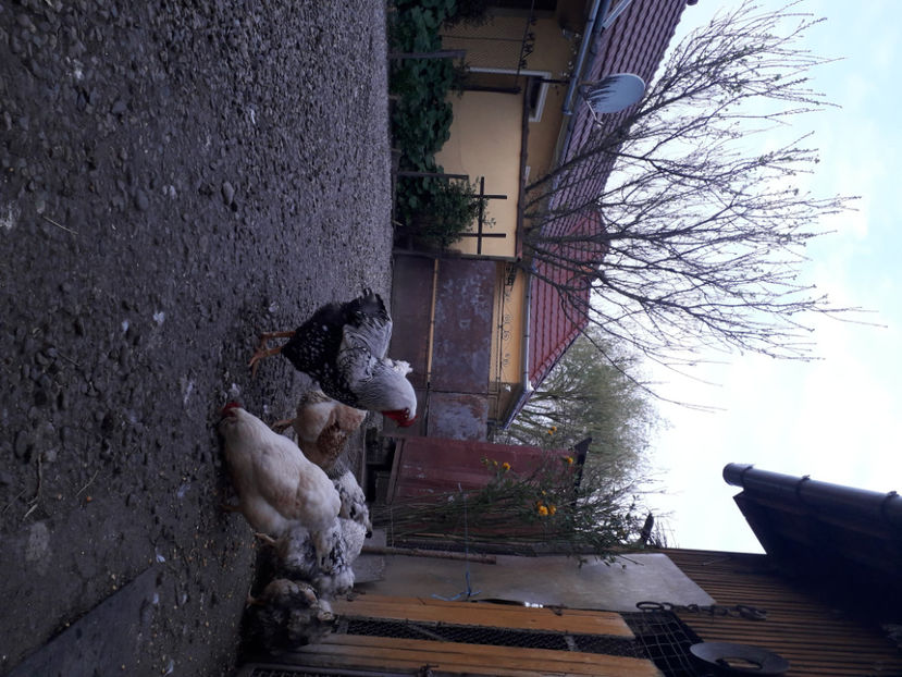  - 2 - MATCĂ I 2024 -