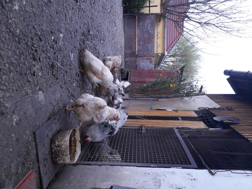  - 2 - MATCĂ I 2024 -