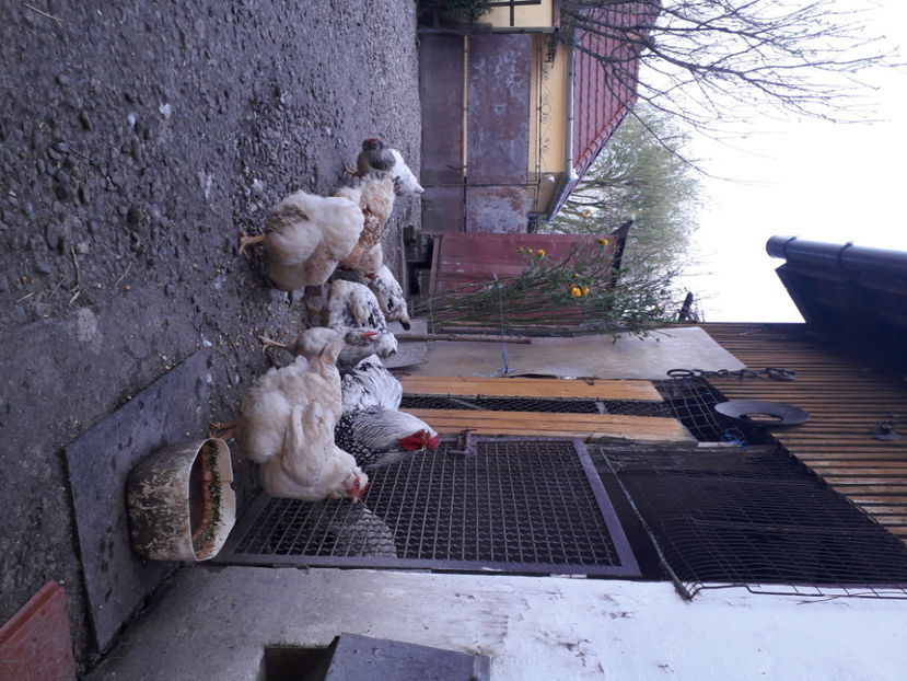  - 2 - MATCĂ I 2024 -