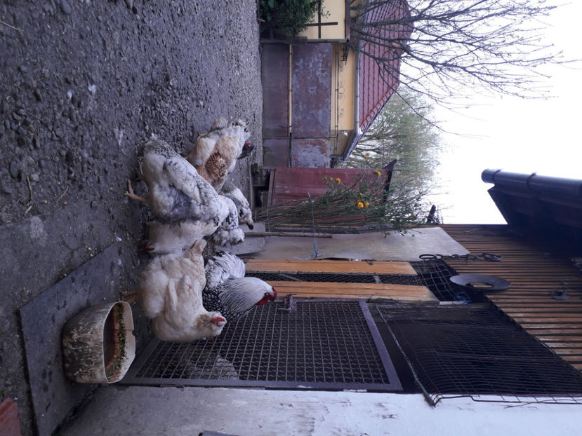  - 2 - MATCĂ I 2024 -