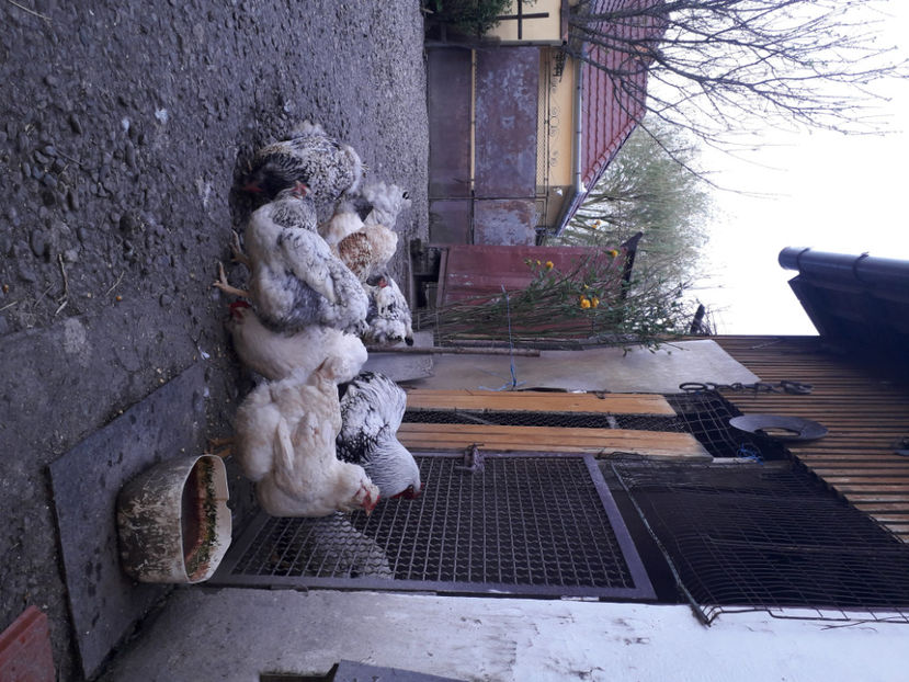  - 2 - MATCĂ I 2024 -