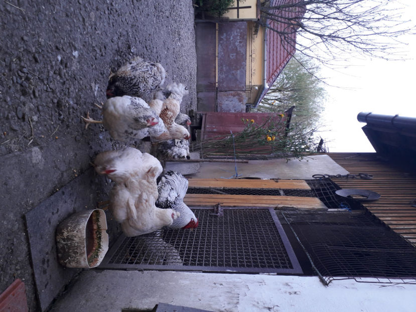  - 2 - MATCĂ I 2024 -