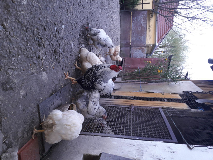  - 2 - MATCĂ I 2024 -