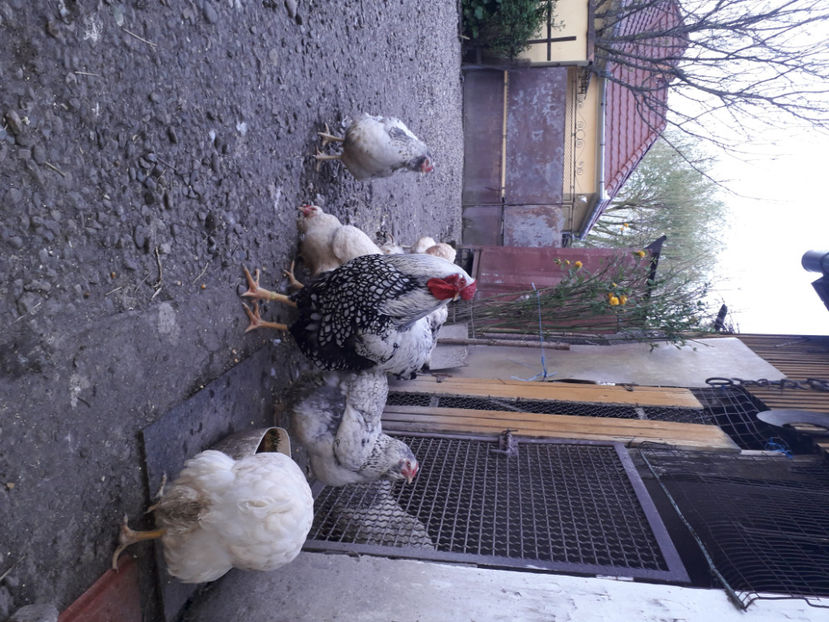  - 2 - MATCĂ I 2024 -