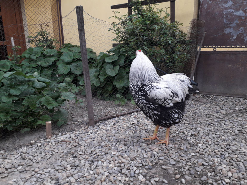 - 2 - MATCĂ I 2024 -