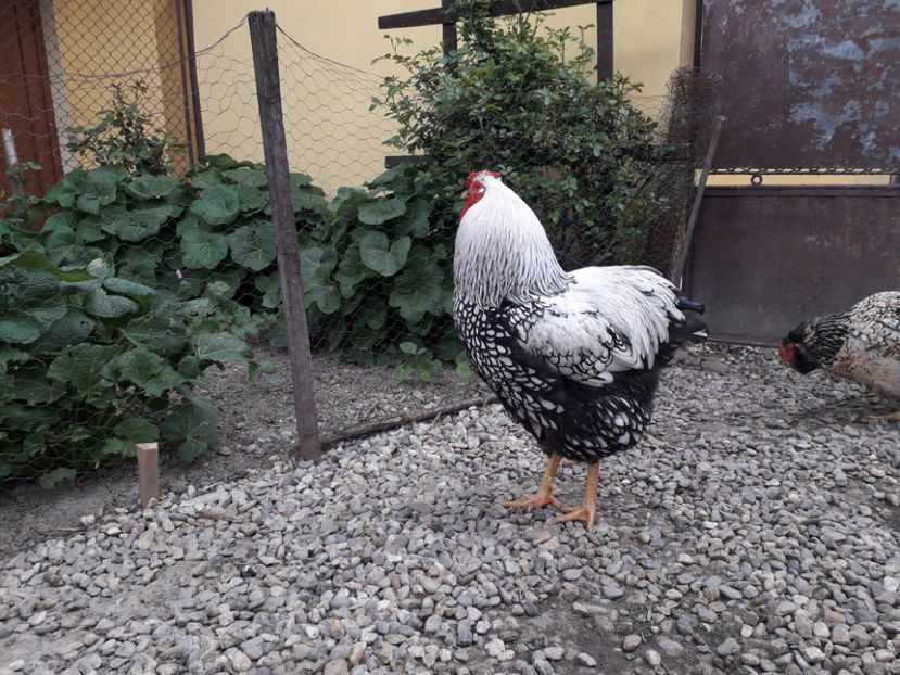  - 2 - MATCĂ I 2024 -