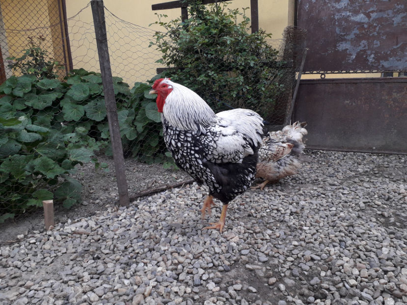  - 2 - MATCĂ I 2024 -