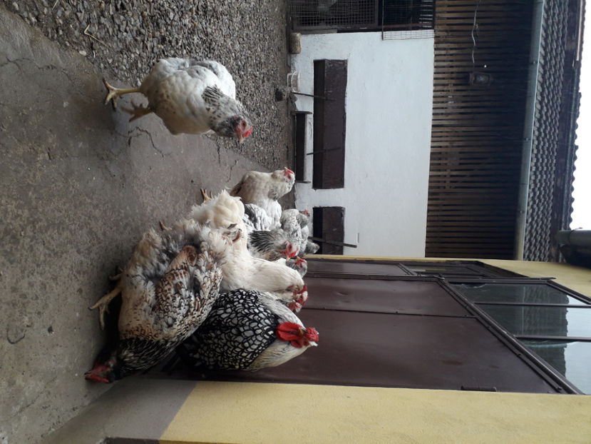  - 2 - MATCĂ I 2024 -