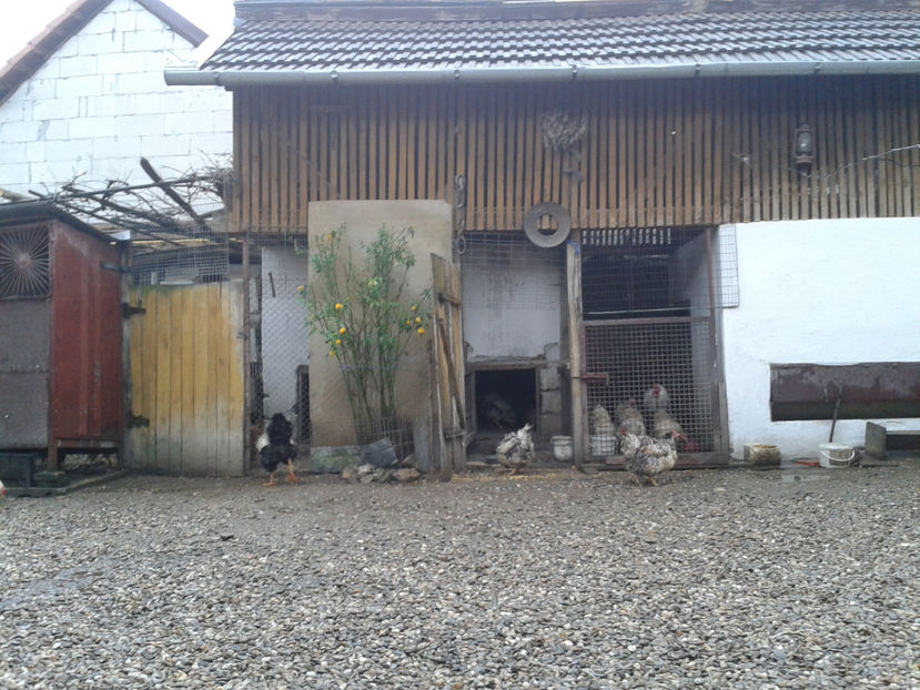  - 1 - MATCĂ II 2024 -