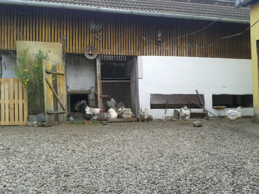 ‎miercuri, ‎3 ‎aprilie ‎2024, ‏‎18:04:16 - 1 - MATCĂ II 2024 -