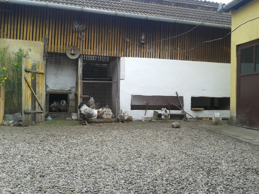 ‎miercuri, ‎3 ‎aprilie ‎2024, ‏‎18:04:18 - 1 - MATCĂ II 2024 -
