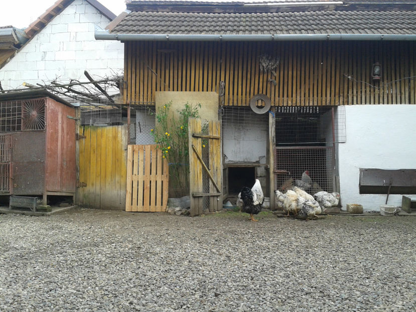  - 1 - MATCĂ II 2024 -