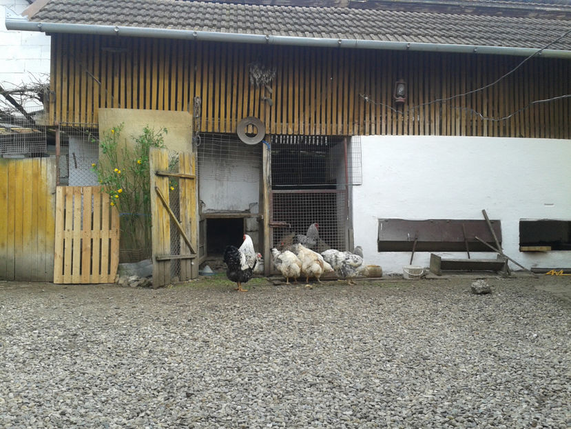  - 1 - MATCĂ II 2024 -