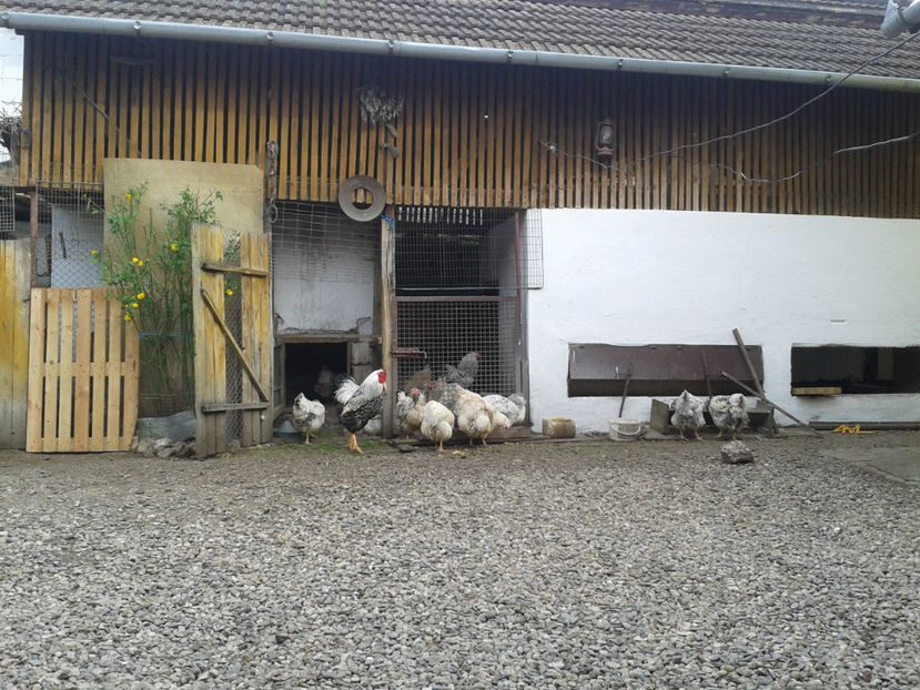  - 1 - MATCĂ II 2024 -