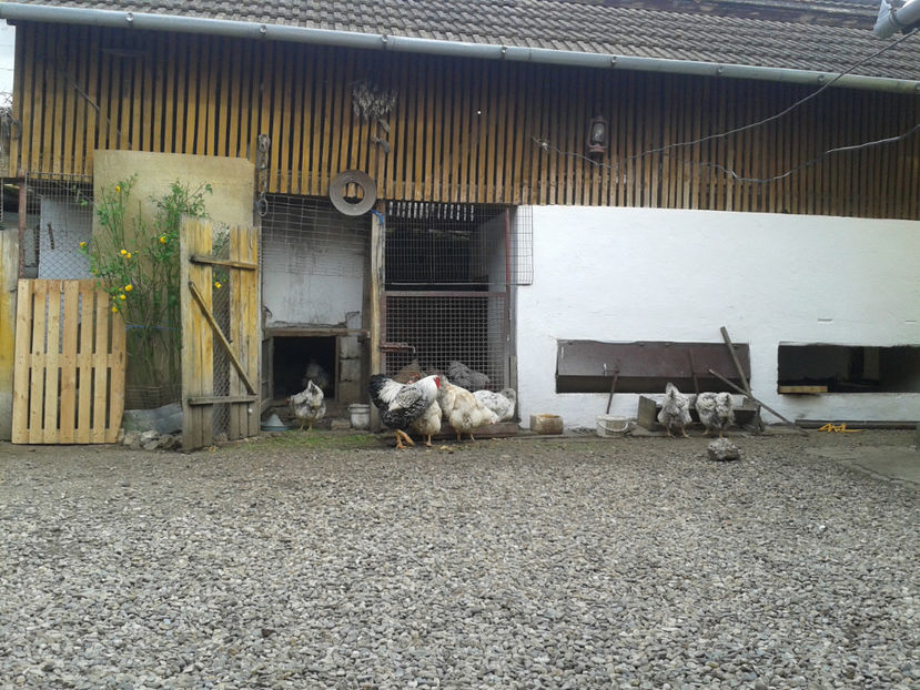  - 1 - MATCĂ II 2024 -