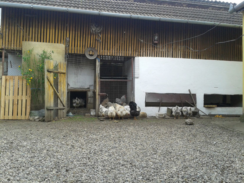  - 1 - MATCĂ II 2024 -