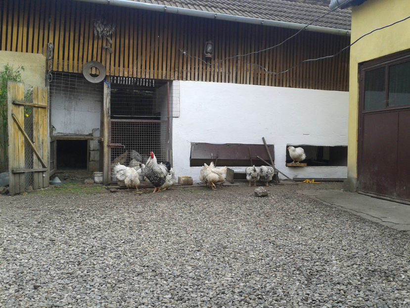  - 1 - MATCĂ II 2024 -