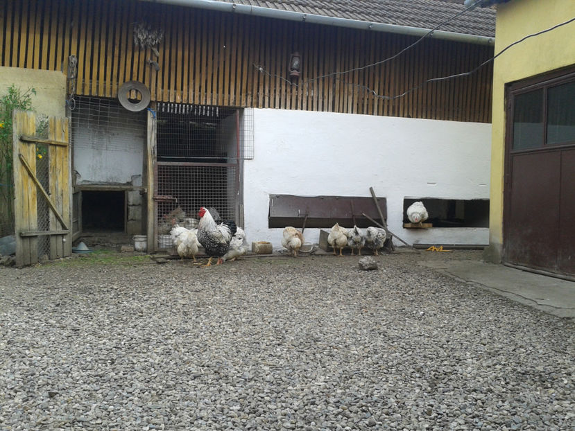  - 1 - MATCĂ II 2024 -