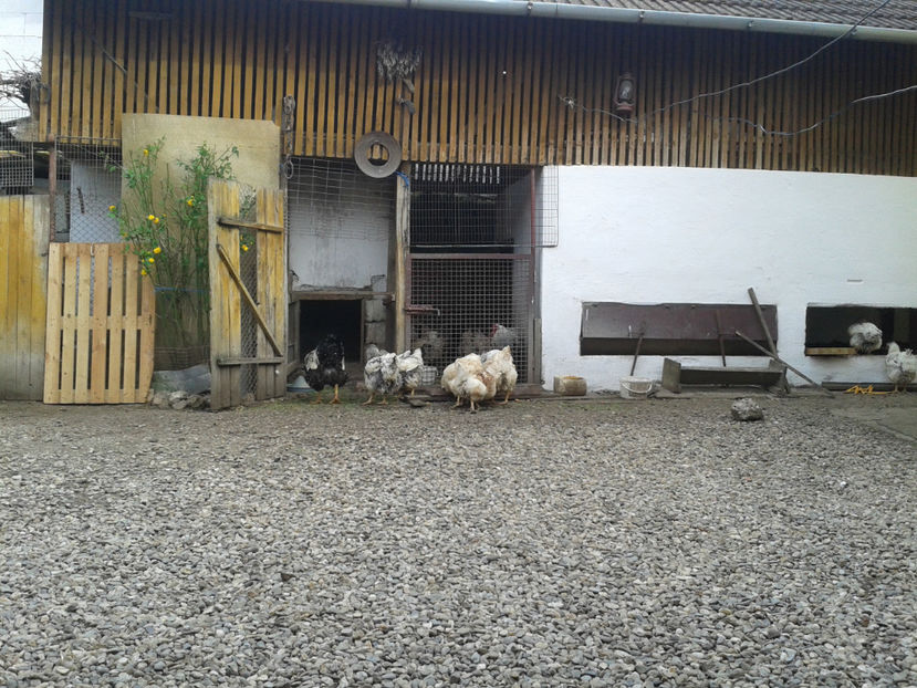  - 1 - MATCĂ II 2024 -