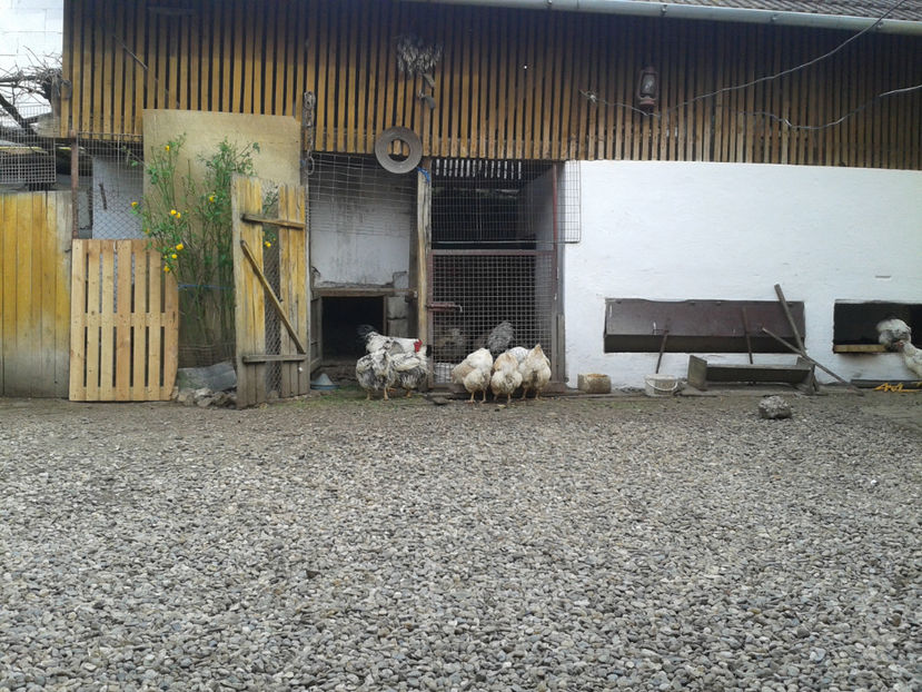  - 1 - MATCĂ II 2024 -