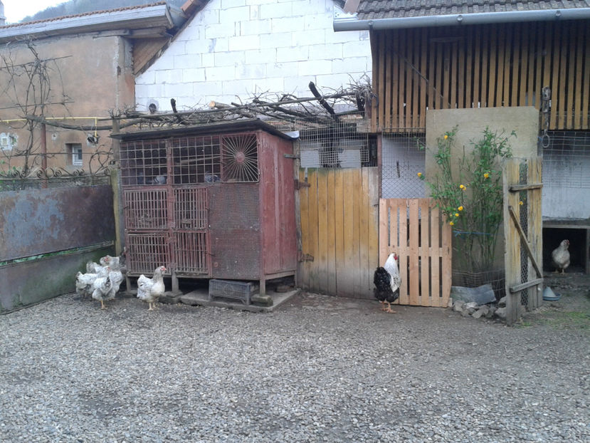  - 1 - MATCĂ II 2024 -