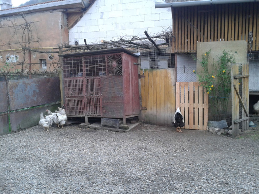  - 1 - MATCĂ II 2024 -