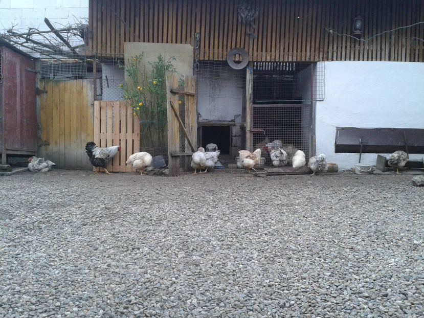  - 1 - MATCĂ II 2024 -